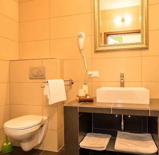 Viola 3* Hochheim am Main